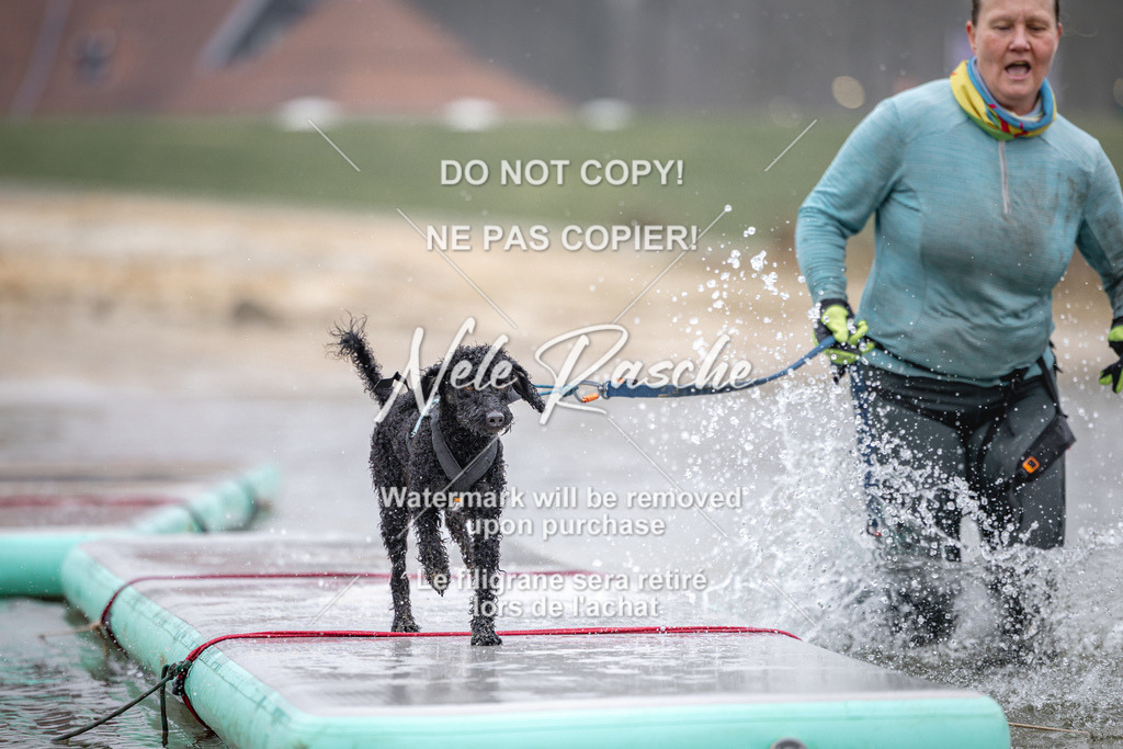 nelerasche_Hulsbeek_Sa1030-1100_31 | nelerasche