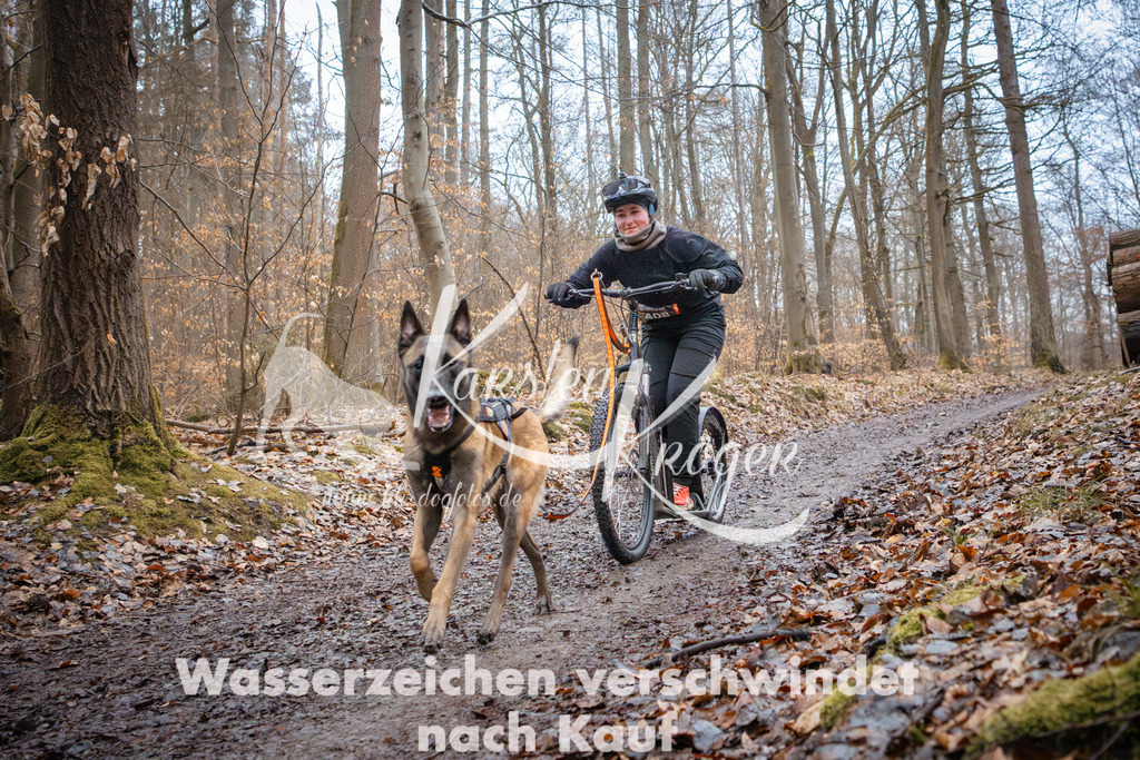 0857_ZZ94981 | kk-dogfotos
