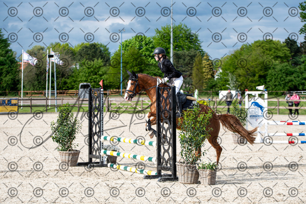 KPT_6674 | andre_photographic