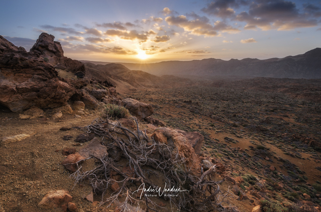 Das Erwachen der Wildnis | Andre Wandrei - Nature Artworx - Realisiert mit Pictrs.com