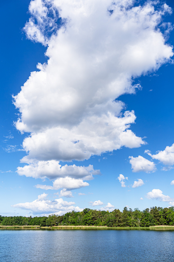 Ostseeküste mit Wolken und Bäumen auf der Insel Uvö in Schweden | Ostseeküste mit Wolken und Bäumen auf der Insel Uvö in Schweden.