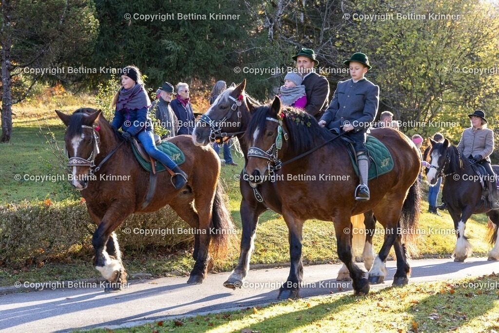 LL24-204 | foto-bettina-krinner - Realisiert mit Pictrs.com