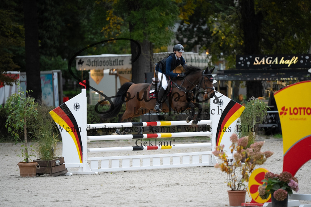 A7V08553 | Turnier/Reitfotograf