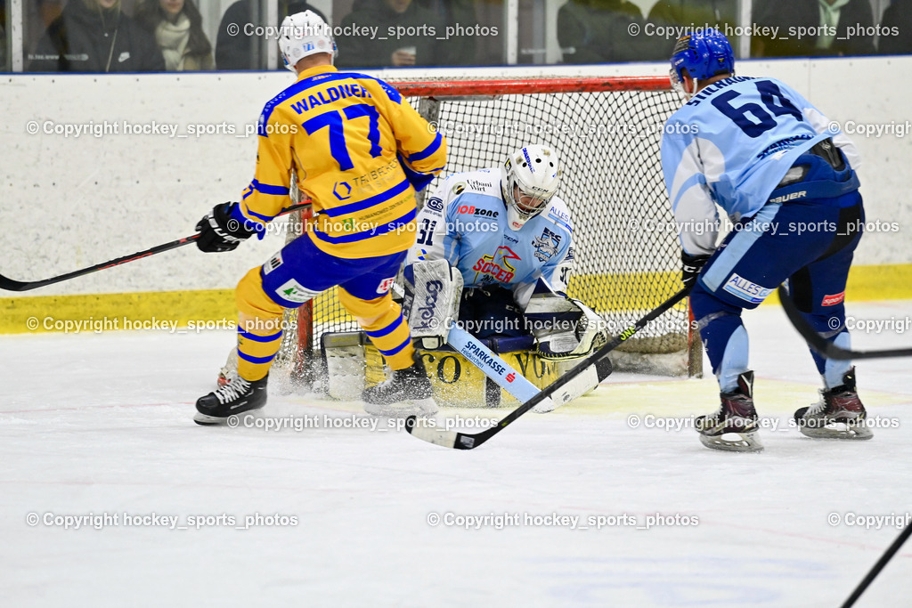 EHC Althofen vs. ESC Steindorf 9.3.202 | #31 Steiner Paul