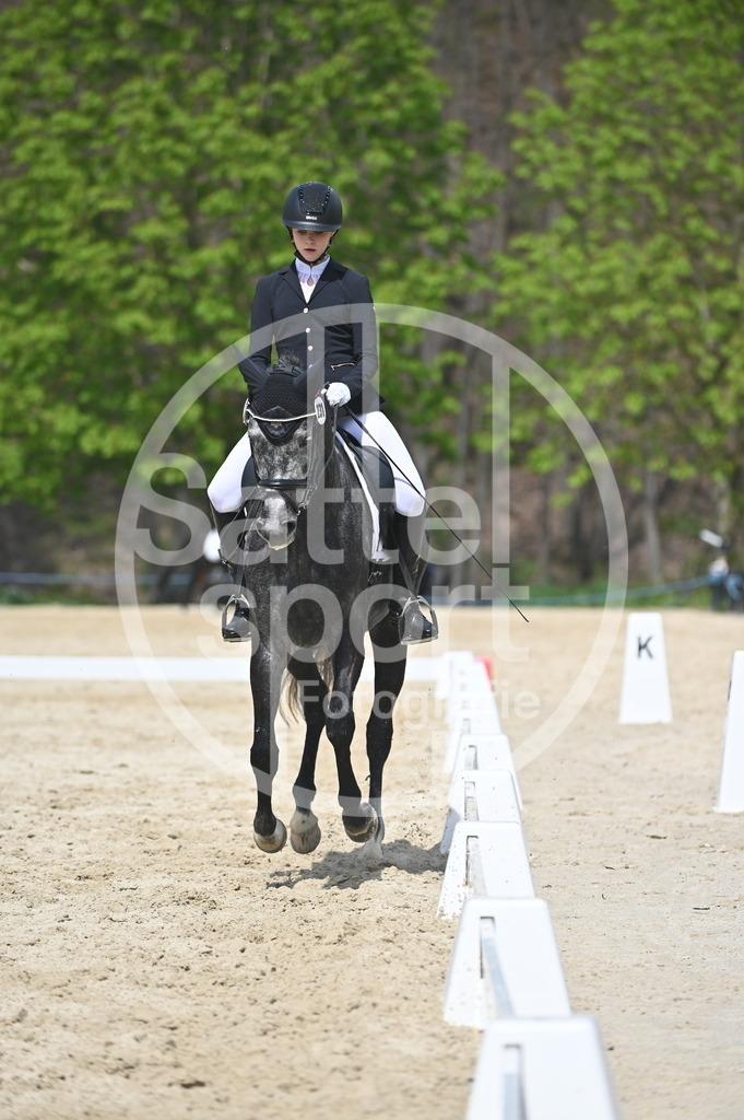 DSC_2211 | sattelsport - Realisiert mit Pictrs.com