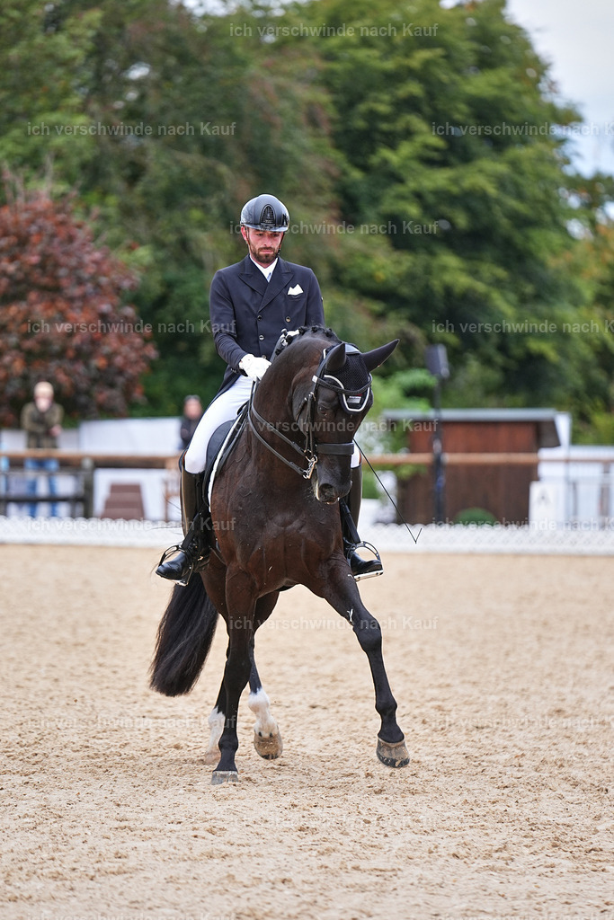 12-047-DRESSUR  S___  -Marixx-5231 | working equitationturnier fotograf videograf stoibphotography marixx film working equitation deutschland reitsport turnierfotografie eventfotografie equestrian events