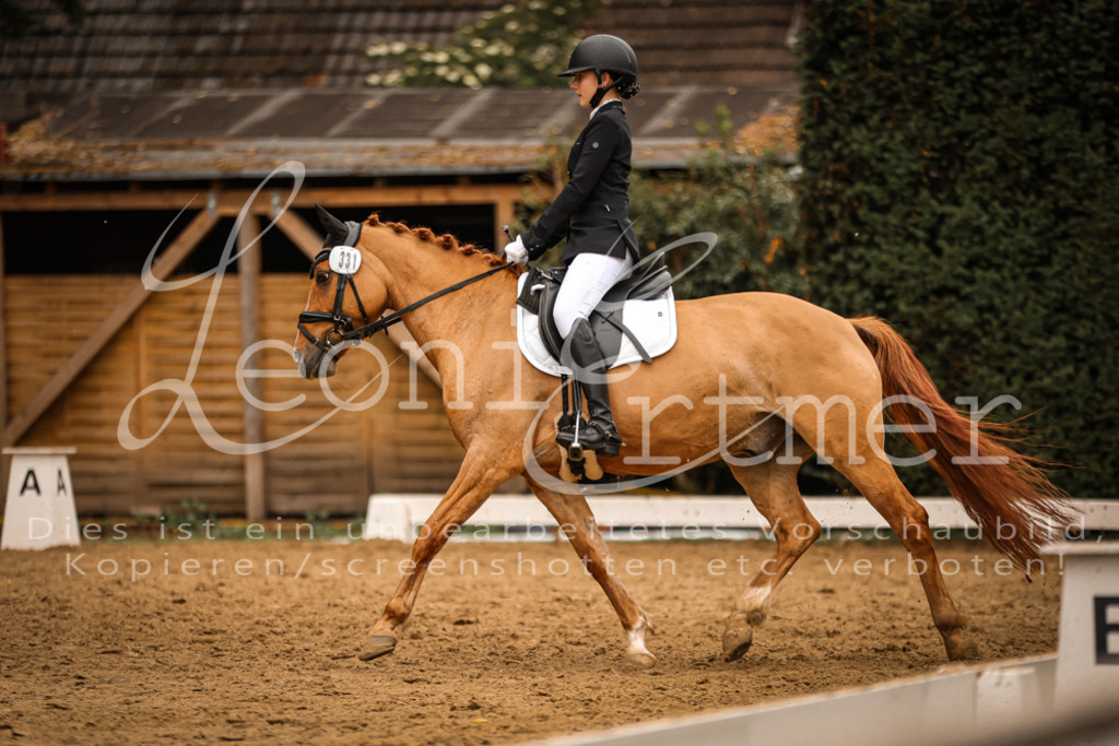 DoDrE00410 | Leoni Ertmer Photography - Realisiert mit Pictrs.com