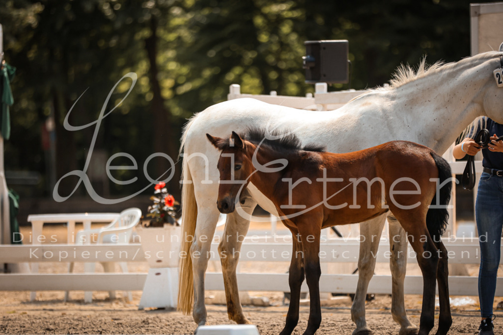 03.DoAB00038 | Leoni Ertmer Photography - Realisiert mit Pictrs.com