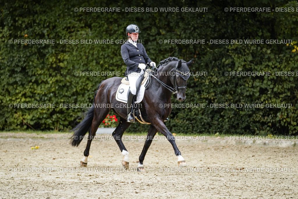 DSC02145 | Pferdegrafie