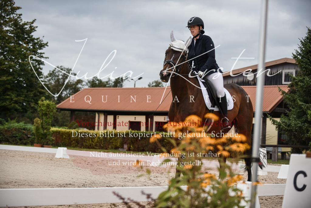 DSC_8456 | Pferde- und Turnierfotografie in Westsachsen. Pferdeportraits, Auftragszeichnungen und intuitive Kunst.