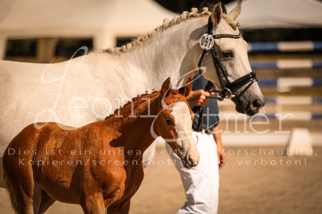 10.DoRP00202 | Leoni Ertmer Photography - Realisiert mit Pictrs.com