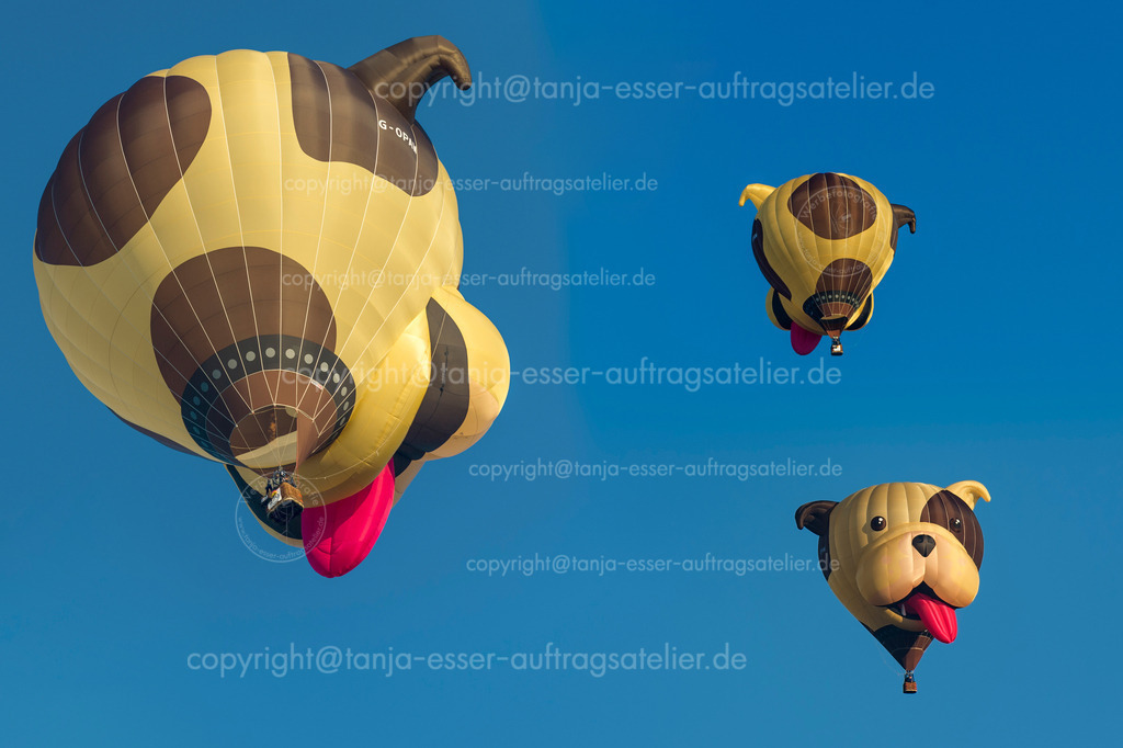 124 Heissluftballon Hund | Heißluftballon in besondere Form: ein Hundekopf. 3 Bilder in einem.
Warsteiner International Montgolfiade ist der Organisator.