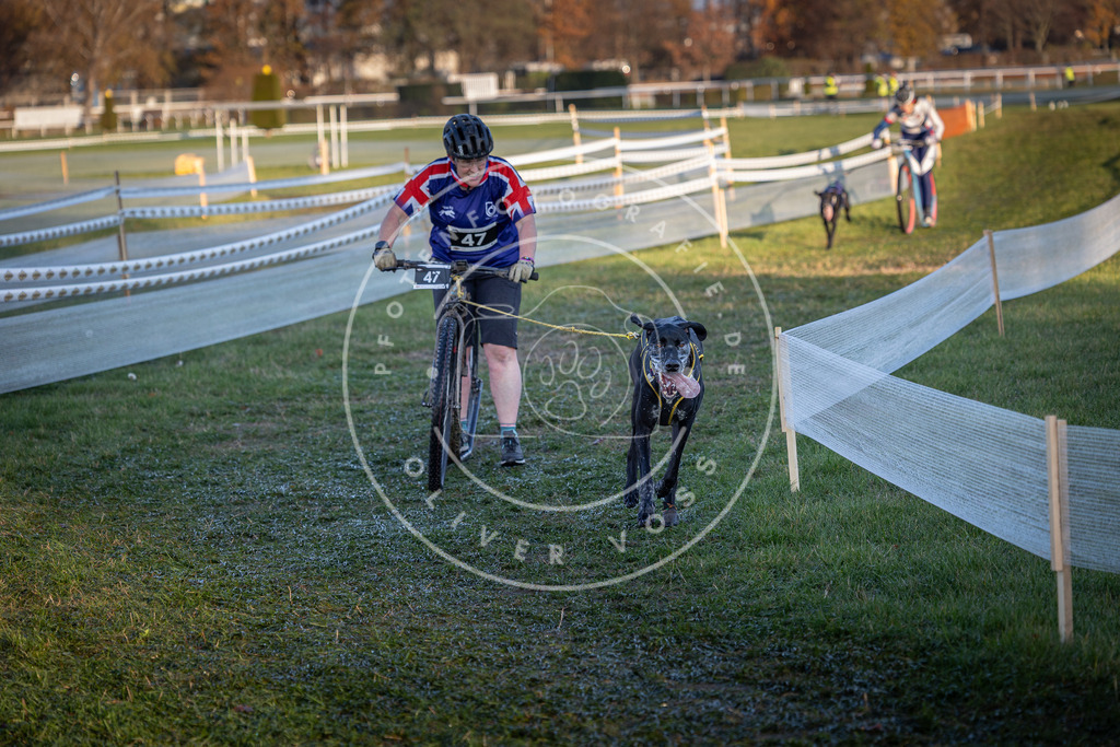 CaniXpix_0L8A2472 | Hundefotografie, Tierfotograf, Pfotenfotografie, Fotoshooting Hund, Hunde Portrait, Hundesport, Hundeportraits, Heideshooting, Hunde, Sportfotograf, Hundefotograf, Turnierhundsport, THS,  - Realisiert mit Pictrs.com