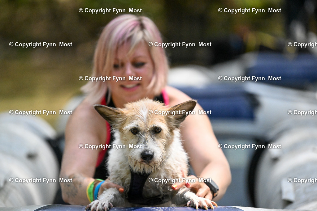 DSC_6778 | Hallo und herzlich Willkommen auf meiner Shop-Seite Fynn Most.

Ich wünsche Dir viel Spaß beim stöbern durch die Bilder, wenn Du Fragen hast oder Bilder vermisst, kannst du mir gerne eine Nachricht schreiben. - Realisiert mit Pictrs.com