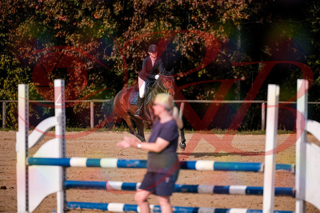 2026_10_03_Siefer-Hof_154159_Z81_59390005 | Professionelle Reitsport-, Turnier- und Eventfotografie von Robert Broda. Galerien mit ausgewählten und bearbeiteten Bildern direkt online ansehen und bestellen.
