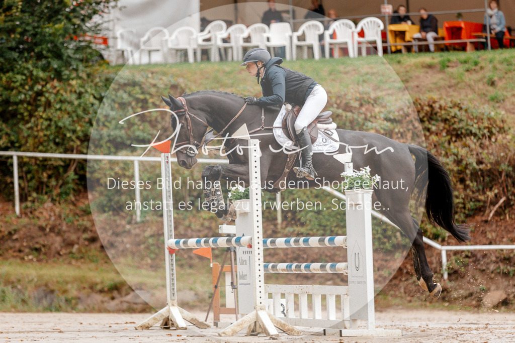 3I6A5530 | Stimmungsvolle Portraits und Reitsportfotografie im Ruhrgebiet und im Münsterland.

Pferdefotografie, Hundefotografie, Tierfotografie, Reportagen, Portraits von Tier und Mensch, Turnierfotografie in Bochum, Recklinghausen, Marl, Haltern am See, Dülmen.. - Realisiert mit Pictrs.com