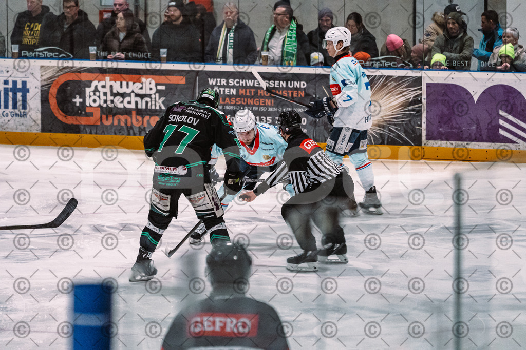 Alligators_vs_Heilbronn_08_02_2026-07 | Höchstadt Alligators Fotogalerie: Eishockey-Action aus Franken. Professionelle Spielfotos, Portraits & Stadionbilder zum Download. Jetzt entdecken! - Realisiert mit Pictrs.com