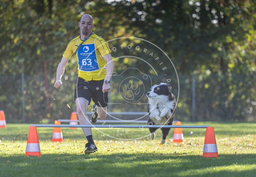 Pfotenfotografie.de_DV3A3188 | Hundefotografie, Tierfotograf, Pfotenfotografie, Fotoshooting Hund, Hunde Portrait, Hundesport, Hundeportraits, Heideshooting, Hunde, Sportfotograf, Hundefotograf, Turnierhundsport, THS, canicross - Realisiert mit Pictrs.com