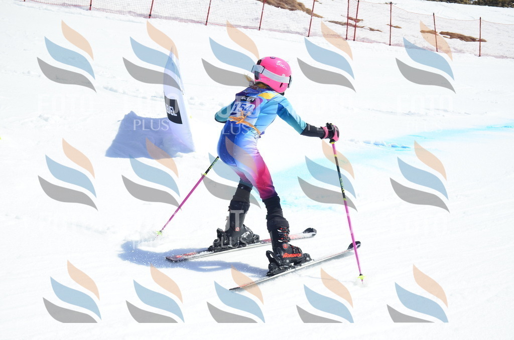 _ELE1034 | holidayphoto