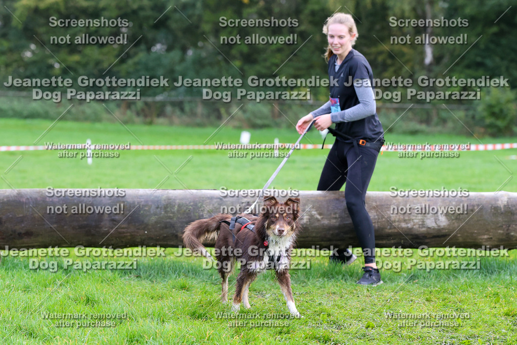 Dog Paparazzi -  SD1026-2093 | Dog Paparazzi Jeanette Grottendiek Fotografie & Videografie - Realisiert mit Pictrs.com