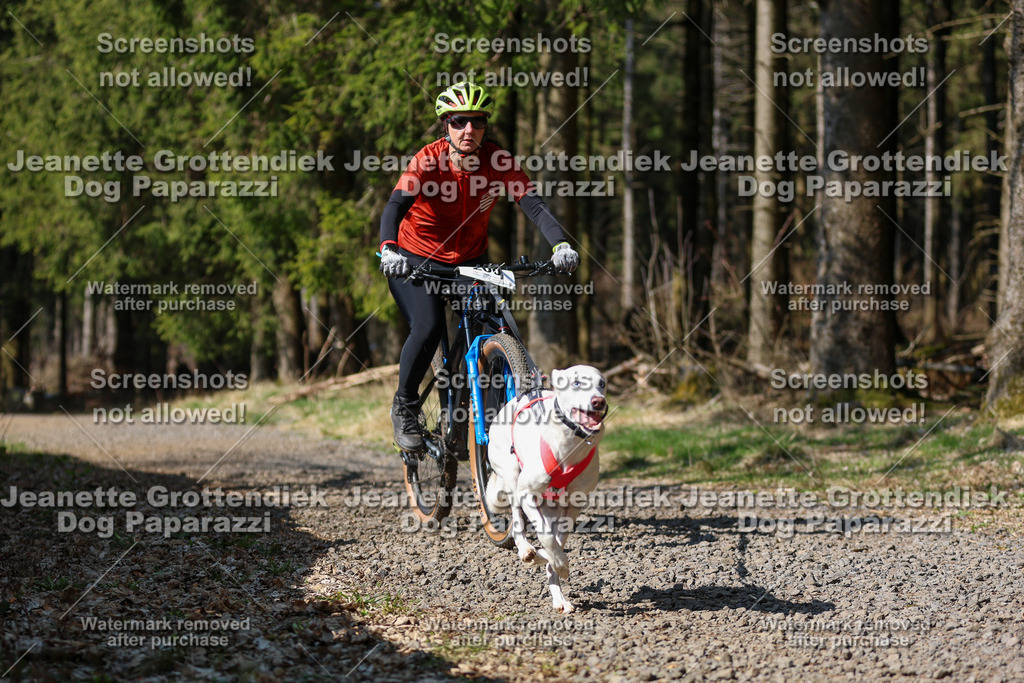 Dog Paparazzi - VCC26-206 | Dog Paparazzi Jeanette Grottendiek Fotografie & Videografie - Realisiert mit Pictrs.com