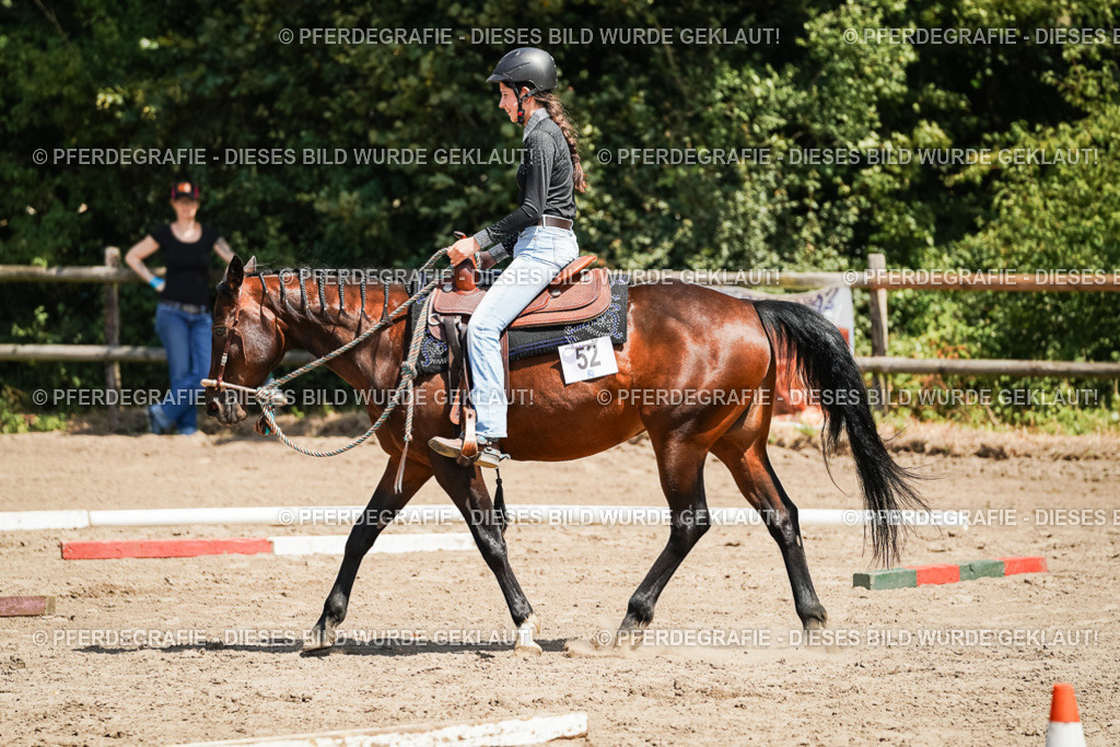 DSC07646 | Pferdegrafie