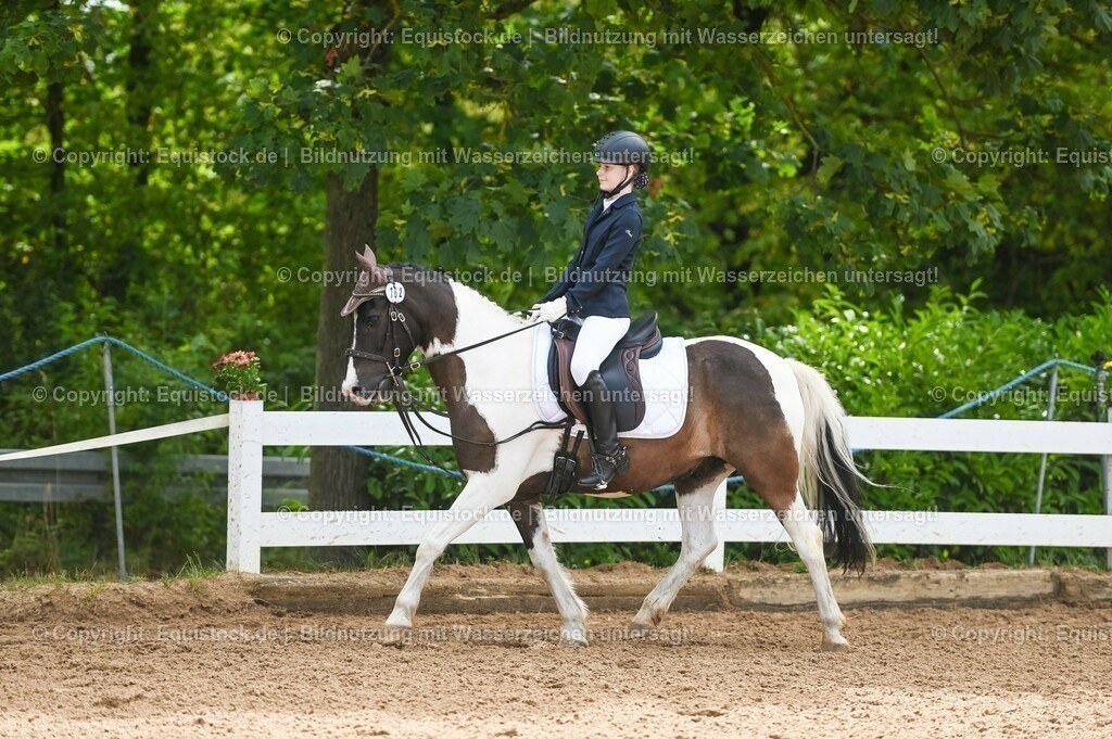 20230716_10-2_Reiter-WB Schritt - Trab - Galopp_0163 | equistock