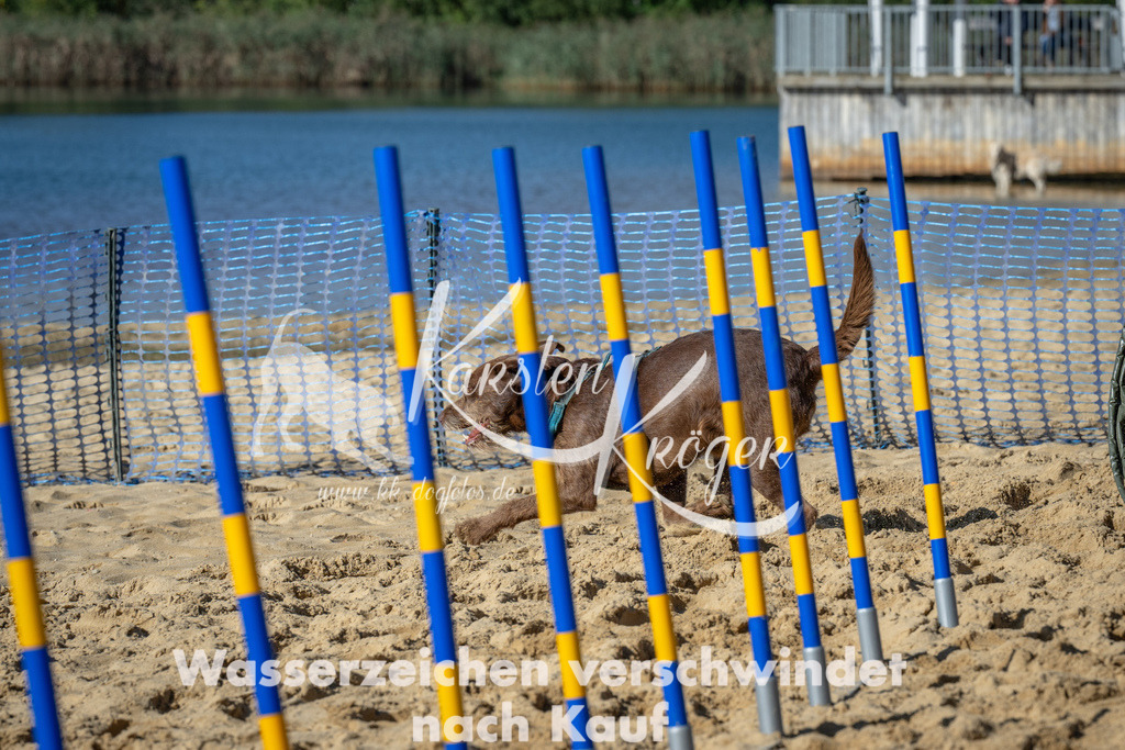 1141_ZZ91737-2 | kk-dogfotos