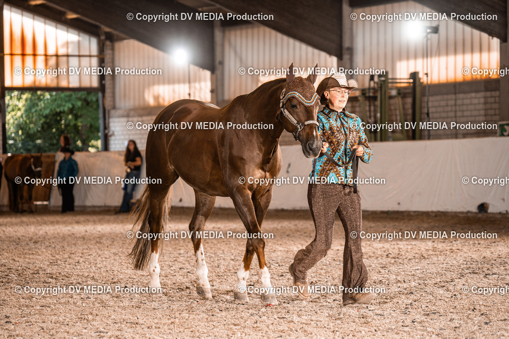 ZH100125 | dv-media-shop - Realisiert mit Pictrs.com