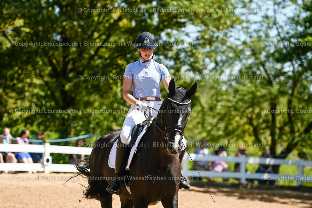 20230715_02_Dressurreiterprüfung Kl.L_0030 | equistock