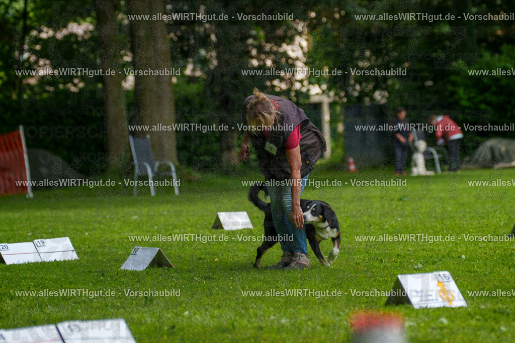 @allesWIRTHgut_Tierfotografie - www.allesWIRTHgut.de - 7R503399 | Professionelle Tierfotografie in Mönchengladbach von Daniel Wirth (allesWIRTHgut). Liebevolle & natürliche Bilder von Hunden & Katzen für unvergessliche Erinnerungen.