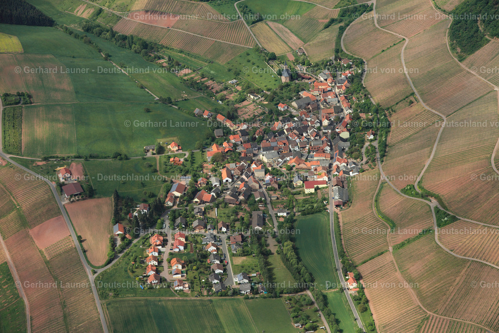 3107187 | Kirschroth