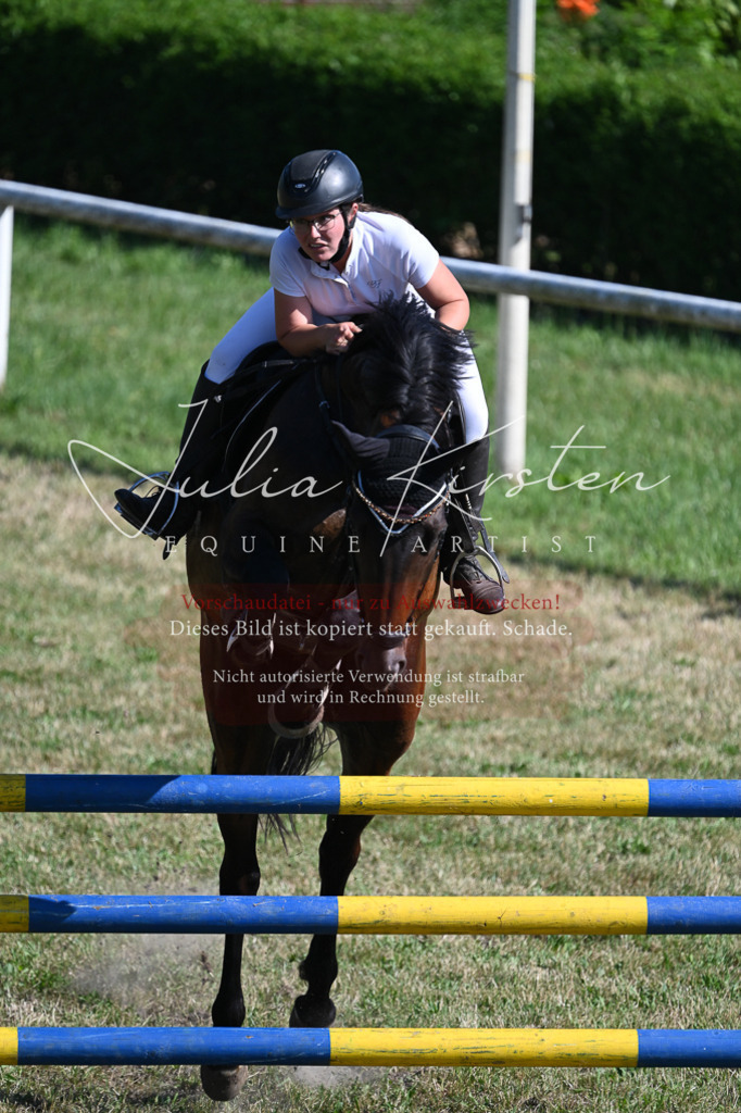 DSC_1992 | Pferde- und Turnierfotografie in Westsachsen. Pferdeportraits, Auftragszeichnungen und intuitive Kunst.