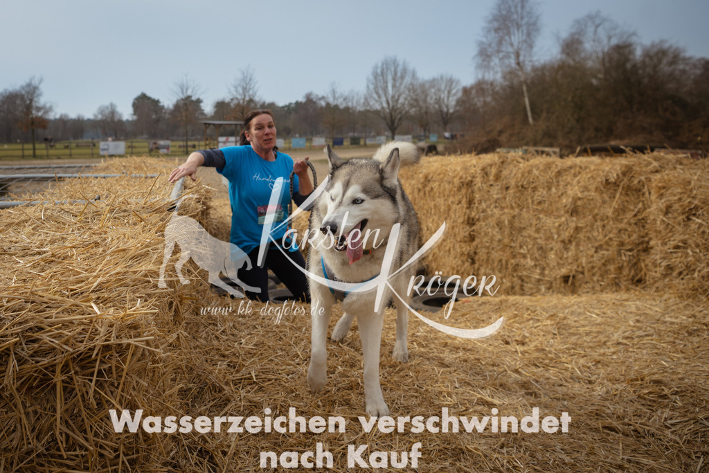 1134_ZZ94694 | kk-dogfotos