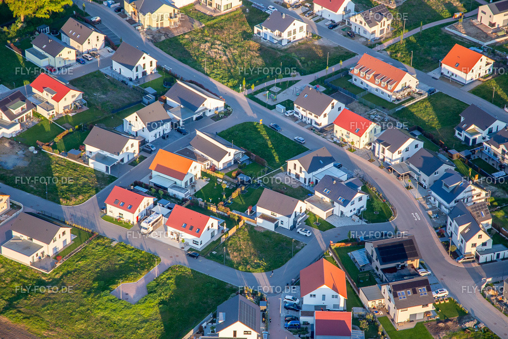Narzissen- und Veilchenweg | Luftbild: Narzissen- und Veilchenweg in Kandel im Bundesland Rheinland-Pfalz in Deutschland. Foto: IMG_140357.jpg vom 23.04.2024 durch ©2025 Werner Riehm fly-foto.de/copyright - Realisiert mit Pictrs.com