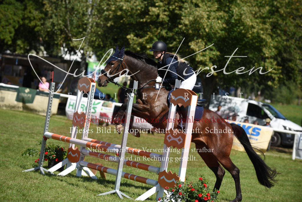 DSC_9395 | Pferde- und Turnierfotografie in Westsachsen. Pferdeportraits, Auftragszeichnungen und intuitive Kunst.