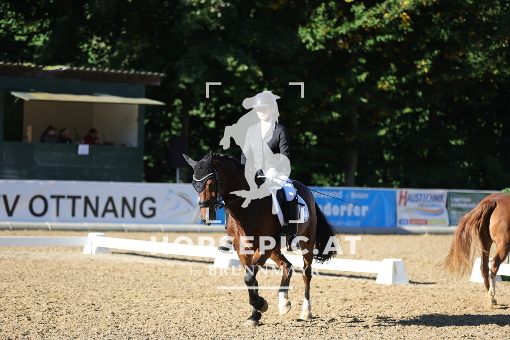 0P6A5848 | Willkommen bei Brunnmayr - Design & Fotografie – Ihrem Spezialisten für Reitturniere und Pferdeveranstaltungen in Oberösterreich, Salzburg und Bayern! Seit über 17 Jahren sind wir leidenschaftlich dabei.