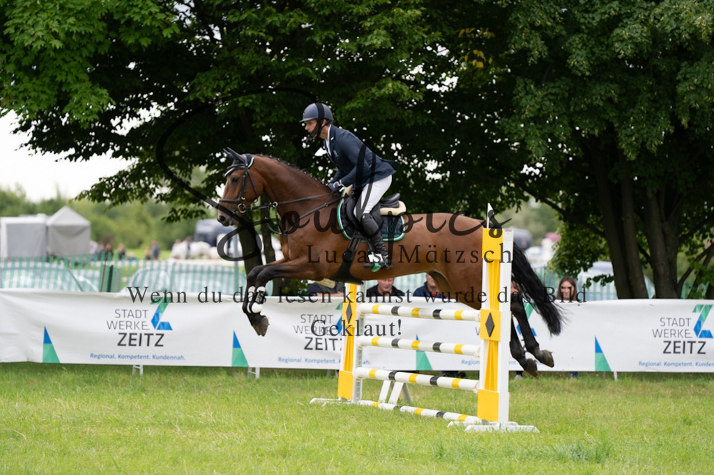 A7V04008 | Pferdefotograf