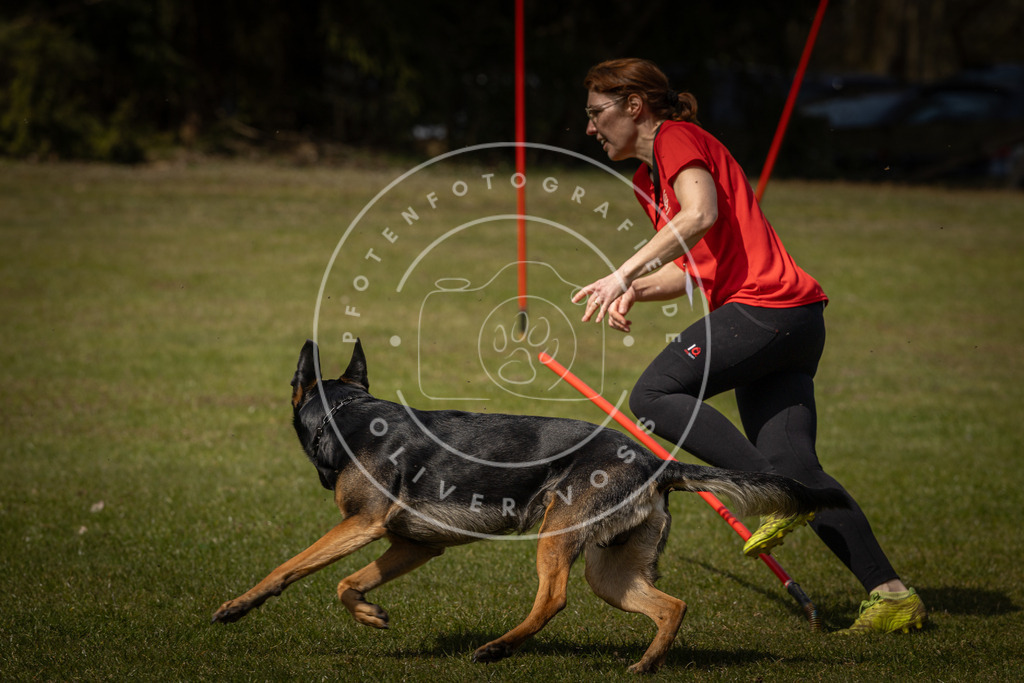Pfotenfotografie_DV3A4905 | Hundefotografie, Tierfotograf, Pfotenfotografie, Fotoshooting Hund, Hunde Portrait, Hundesport, Hundeportraits, Heideshooting, Hunde, Sportfotograf, Hundefotograf, Turnierhundsport, THS,  - Realisiert mit Pictrs.com