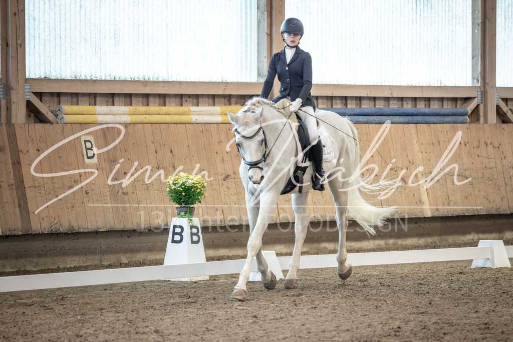 20251011-_3LI5788 | Tierfotografie Pferde, Hunde, Katzen, Haustiere.
Turnierfotografie Reitturniere, Reiten, Springreiten, Dressur in Hanau, dem Main-Kinzig-Kreis und dem Rhein-Main- Gebiet um Frankfurt