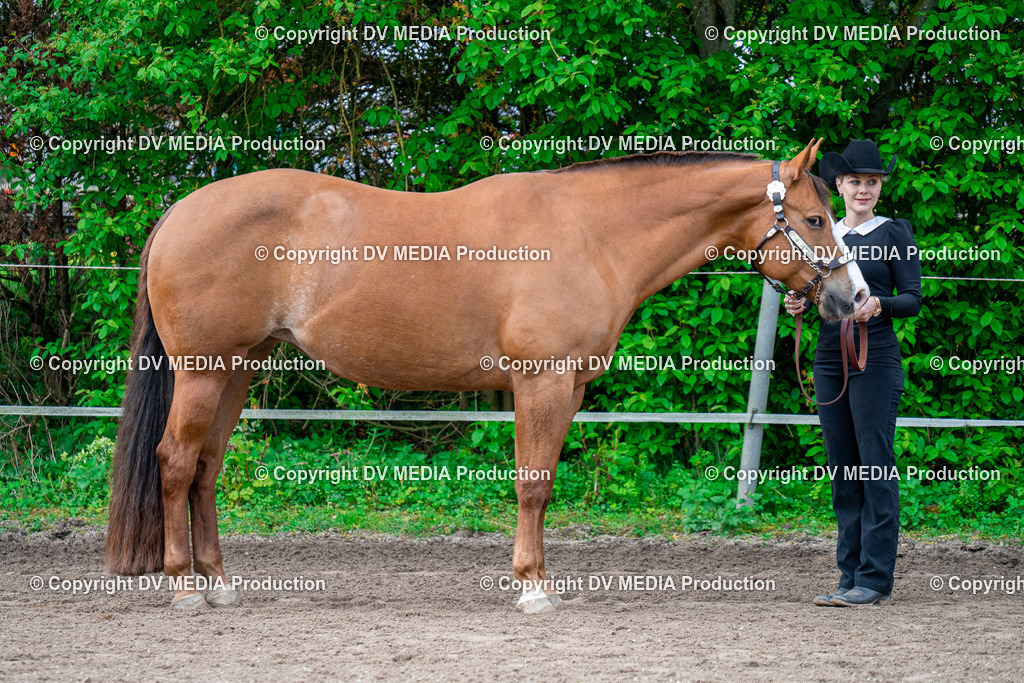 BA300241 | dv-media-shop - Realisiert mit Pictrs.com