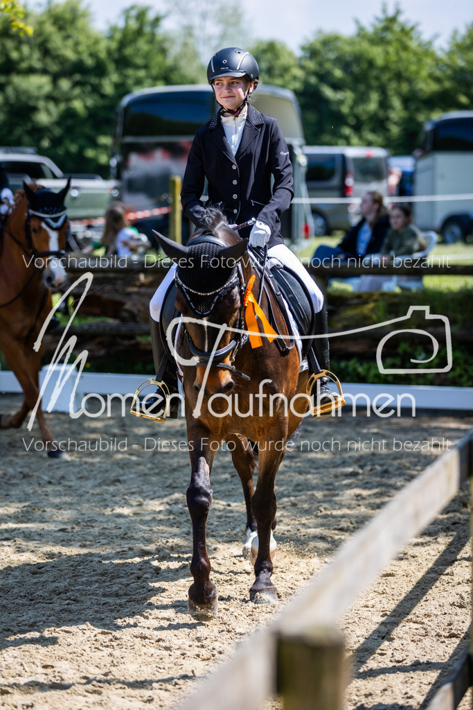 Donop24-RWB-028 | MomenTaufnahmen Pferdesportfotos