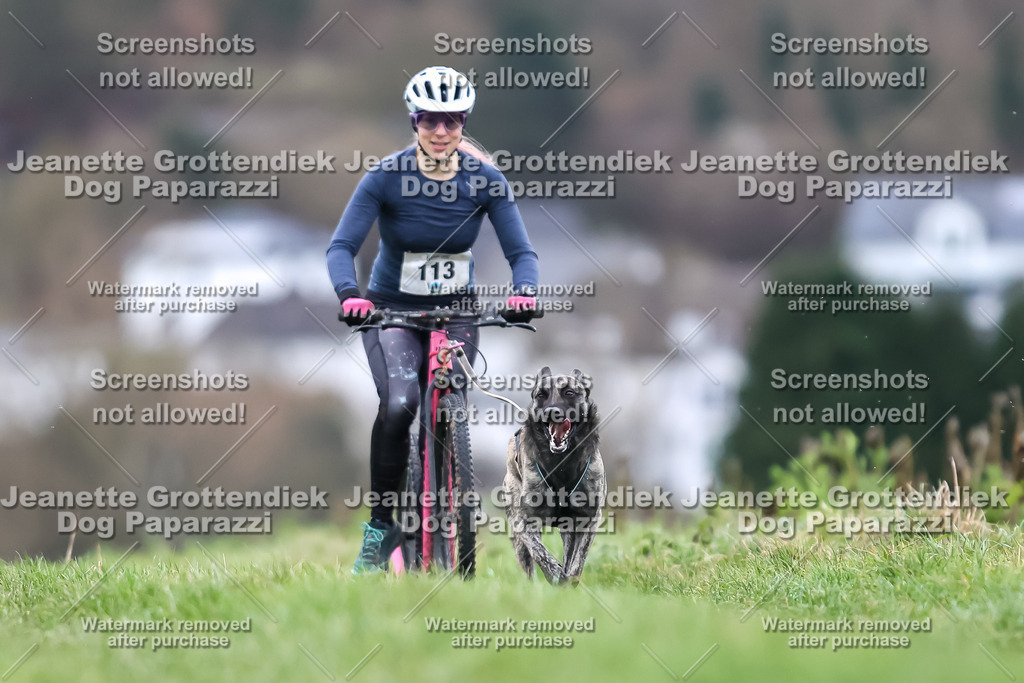 Dog Paparazzi - Herkules Race  2025-18 | Dog Paparazzi Jeanette Grottendiek Fotografie & Videografie - Realisiert mit Pictrs.com