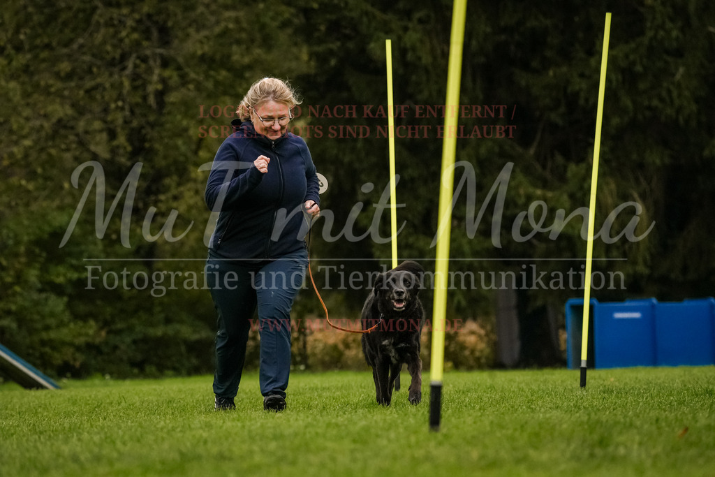 20251005_THS_Turnier-519 | MuT (Mensch und Tier) mit Mona - Fotografie und Tierkommunikation - Realisiert mit Pictrs.com