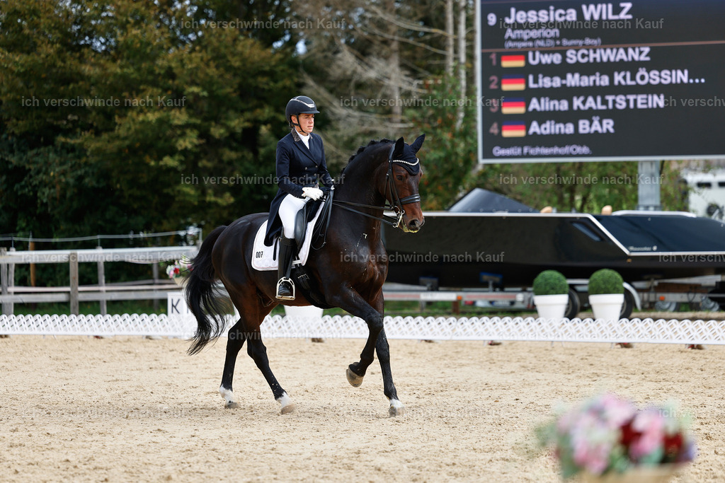 11-007-Dressur S___-StoibPH-1101 | working equitationturnier fotograf videograf stoibphotography marixx film working equitation deutschland reitsport turnierfotografie eventfotografie equestrian events