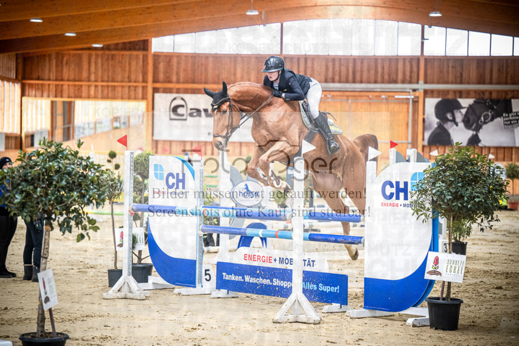 DOS_0425 | Entdecke hochwertige Reitturnierfotos von Foto Oger. Professionell, emotional und authentisch – jetzt Lieblingsmomente im Shop bestellen.Deutschlandweite Turnierfotografie. - Realisiert mit Pictrs.com