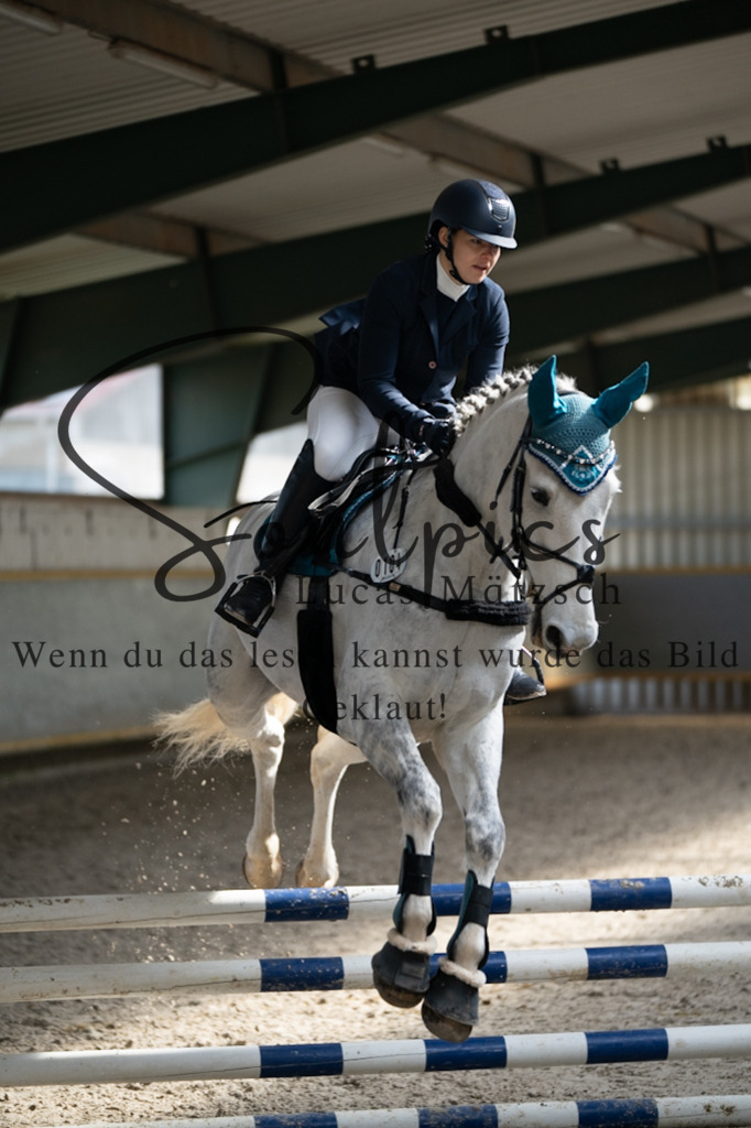 A7V07926 | Pferdefotograf