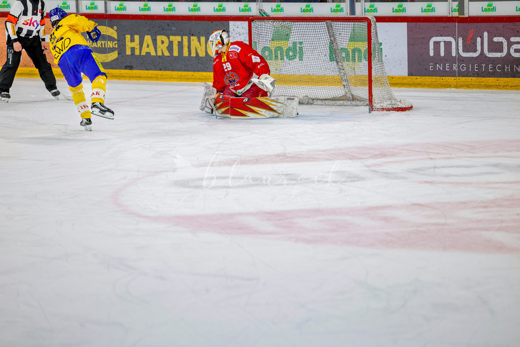 EHCB vs HCD-1686 | Sportbilder, Sportfotograf, Hochzeits- und Eventfotografin, Flugshows, Portraits und Tiershooting, Aviation, Downhill, Nationalleague, Swissleague, International