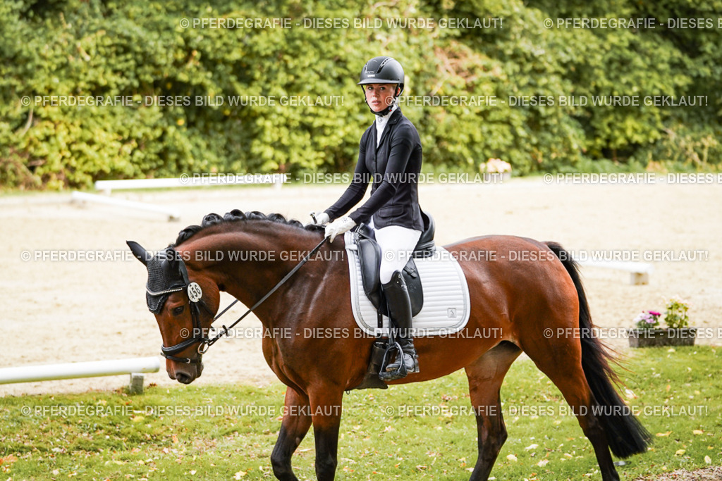 DSC00679 | Pferdegrafie