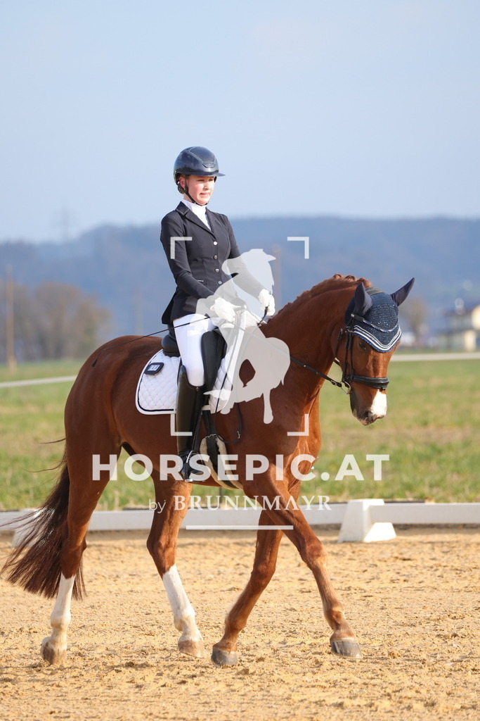 0P6A5959 | Willkommen bei Brunnmayr - Design & Fotografie – Ihrem Spezialisten für Reitturniere und Pferdeveranstaltungen in Oberösterreich, Salzburg und Bayern! Seit über 17 Jahren sind wir leidenschaftlich dabei.